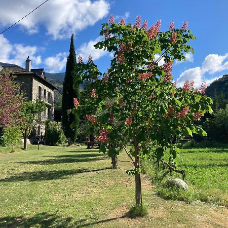 El Cau De Cal Quimet Apartment Rialp Bagian luar foto